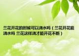 蘭花開花的時候可以澆水嗎（蘭花開花能澆水嗎 蘭花這樣澆才能開花不斷）