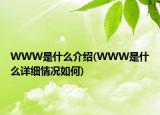 WWW是什么介紹(WWW是什么詳細(xì)情況如何)