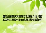 洛克王國(guó)刺頭哭眼鴨怎么練級(jí)介紹 洛克王國(guó)刺頭哭眼鴨怎么練級(jí)詳細(xì)情況如何