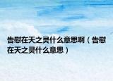 告慰在天之靈什么意思?。ǜ嫖吭谔熘`什么意思）