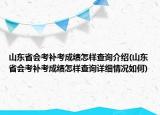 山東省會(huì)考補(bǔ)考成績(jī)?cè)鯓硬樵兘榻B(山東省會(huì)考補(bǔ)考成績(jī)?cè)鯓硬樵冊(cè)敿?xì)情況如何)
