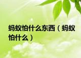 螞蟻怕什么東西（螞蟻怕什么）