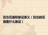 百合花語和象征意義（百合的花語是什么象征）