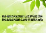 貓撲情侶去死去死團什么意思?介紹(貓撲情侶去死去死團什么意思?詳細情況如何)