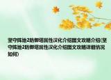 堅(jiān)守陣地2防御塔屬性漢化介紹圖文攻略介紹(堅(jiān)守陣地2防御塔屬性漢化介紹圖文攻略詳細(xì)情況如何)