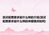劍靈配置要求是什么樣的介紹(劍靈配置要求是什么樣的詳細情況如何)