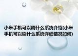小米手機(jī)可以刷什么系統(tǒng)介紹(小米手機(jī)可以刷什么系統(tǒng)詳細(xì)情況如何)