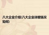 八大企業(yè)介紹(八大企業(yè)詳細情況如何)