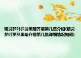 精靈夢(mèng)葉羅麗黑暗齊娜第幾集介紹(精靈夢(mèng)葉羅麗黑暗齊娜第幾集詳細(xì)情況如何)