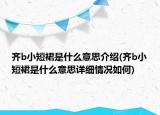 齊b小短裙是什么意思介紹(齊b小短裙是什么意思詳細情況如何)