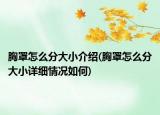 胸罩怎么分大小介紹(胸罩怎么分大小詳細(xì)情況如何)