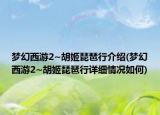 夢(mèng)幻西游2~胡姬琵琶行介紹(夢(mèng)幻西游2~胡姬琵琶行詳細(xì)情況如何)