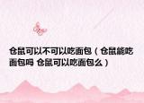 倉鼠可以不可以吃面包（倉鼠能吃面包嗎 倉鼠可以吃面包么）