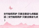 文竹如何養(yǎng)護(hù) 只要注意這七點就能活（文竹如何養(yǎng)護(hù) 只要注意這七點）