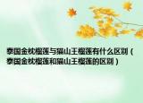 泰國金枕榴蓮與貓山王榴蓮有什么區(qū)別（泰國金枕榴蓮和貓山王榴蓮的區(qū)別）