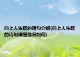 向上人生路的詩句介紹(向上人生路的詩句詳細(xì)情況如何)