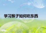學習猴子如何吃東西