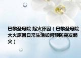 巴黎圣母院 起火原因（巴黎圣母院大火原因日常生活如何預(yù)防突發(fā)起火）