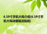 6.59寸手機(jī)大嗎介紹(6.59寸手機(jī)大嗎詳細(xì)情況如何)