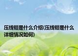 壓線鉗是什么介紹(壓線鉗是什么詳細(xì)情況如何)