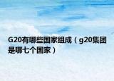 G20有哪些國家組成（g20集團(tuán)是哪七個國家）