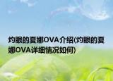 灼眼的夏娜OVA介紹(灼眼的夏娜OVA詳細(xì)情況如何)