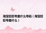淘寶旺旺號是什么號碼（淘寶旺旺號是什么）