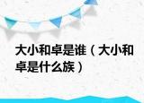 大小和卓是誰（大小和卓是什么族）