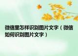 微信里怎樣識別圖片文字（微信如何識別圖片文字）