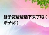 路子寬爸爸活下來(lái)了嗎（路子寬）