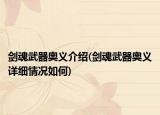 劍魂武器奧義介紹(劍魂武器奧義詳細(xì)情況如何)