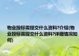 物業(yè)投標(biāo)需提交什么資料?介紹(物業(yè)投標(biāo)需提交什么資料?詳細(xì)情況如何)