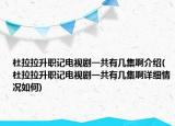 杜拉拉升職記電視劇一共有幾集啊介紹(杜拉拉升職記電視劇一共有幾集啊詳細(xì)情況如何)