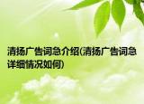 清揚廣告詞急介紹(清揚廣告詞急詳細情況如何)