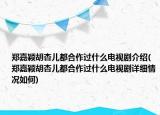 鄭嘉穎胡杏兒都合作過(guò)什么電視劇介紹(鄭嘉穎胡杏兒都合作過(guò)什么電視劇詳細(xì)情況如何)