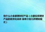 有什么小金額理財(cái)好產(chǎn)品（小額投資理財(cái)產(chǎn)品的差異化選擇 簡(jiǎn)單介紹幾種理財(cái)模式）