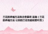 蘭花的養(yǎng)殖方法和注意事項(xiàng) 盆栽（蘭花的養(yǎng)殖方法 讓你的蘭花也能枝繁葉茂）