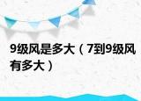 9級(jí)風(fēng)是多大（7到9級(jí)風(fēng)有多大）