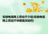 安徽電信網(wǎng)上營(yíng)業(yè)廳介紹(安徽電信網(wǎng)上營(yíng)業(yè)廳詳細(xì)情況如何)