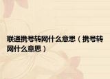 聯(lián)通攜號(hào)轉(zhuǎn)網(wǎng)什么意思（攜號(hào)轉(zhuǎn)網(wǎng)什么意思）