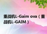 重戰(zhàn)機L-Gaim ova（重戰(zhàn)機L-GAIM）