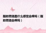 脂肪燃燒是什么感覺會癢嗎（脂肪燃燒會癢嗎）