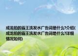 成龍拍的霸王洗發(fā)水廣告詞是什么?介紹(成龍拍的霸王洗發(fā)水廣告詞是什么?詳細(xì)情況如何)