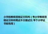 小學的教師資格證分科嗎（考小學教師資格證分科嗎筆試不分面試分,考個小學證書挺有用）