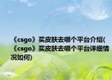《csgo》買皮膚去哪個(gè)平臺(tái)介紹(《csgo》買皮膚去哪個(gè)平臺(tái)詳細(xì)情況如何)