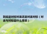 到底是對(duì)標(biāo)對(duì)表還是對(duì)表對(duì)標(biāo)（對(duì)表與對(duì)標(biāo)是什么意思）
