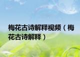 梅花古詩解釋視頻（梅花古詩解釋）