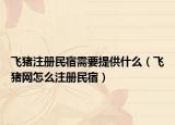 飛豬注冊民宿需要提供什么（飛豬網(wǎng)怎么注冊民宿）