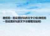 微信拍一拍設(shè)置好玩的文字介紹(微信拍一拍設(shè)置好玩的文字詳細情況如何)