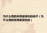 為什么有的車牌是綠色的底子（為什么有的車牌是綠色的）